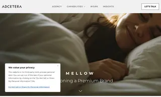 Preview of the Zinus (sub-brand: Mellow) Case Study