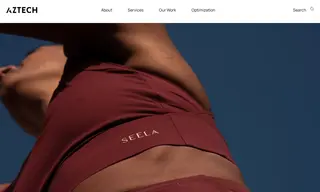 Preview of the Seela Case Study