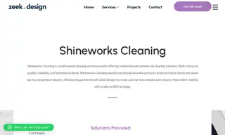 Preview of the Shineworks Cleaning Case Study