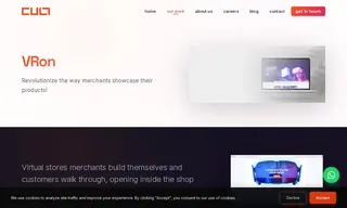 Preview of the VRon Case Study
