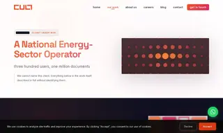 Preview of the National Energy-Sector Operator Case Study
