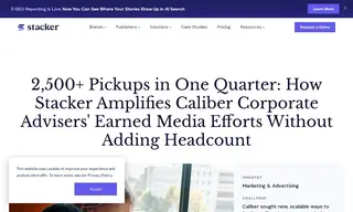 Preview of the Caliber Corporate Advisers Case Study