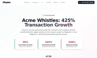 Preview of the ACME Whistles Case Study