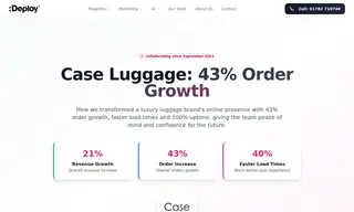 Preview of the Case Luggage Case Study