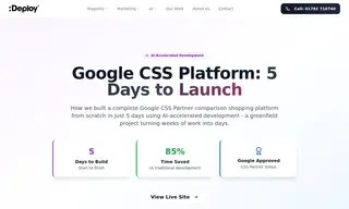 Preview of the Google Case Study