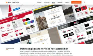 Preview of the Pure Fishing Case Study