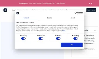 Preview of the Audi Case Study