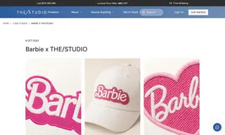 Preview of the Barbie Case Study