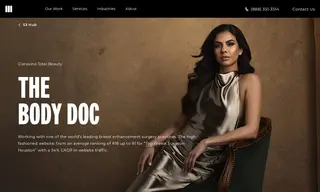 Preview of the Ciaravino Total Beauty Case Study