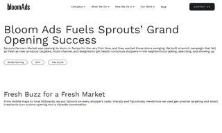 Preview of the Sprouts Farmers Market Case Study