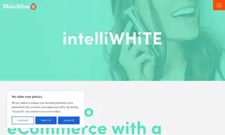 Preview of the intelliWHiTE Case Study
