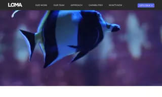 Preview of the Birch Aquarium Case Study