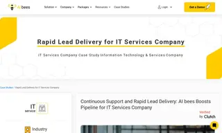 Preview of the IT Services Company Case Study