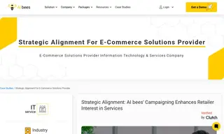 Preview of the E-Commerce Solutions Provider Case Study