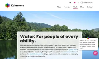 Preview of the San Jose Water Case Study
