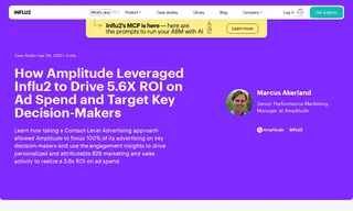 Preview of the Amplitude Case Study