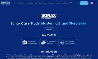 Preview of the Sonax Case Study