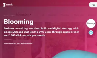 Preview of the Blooming Case Study