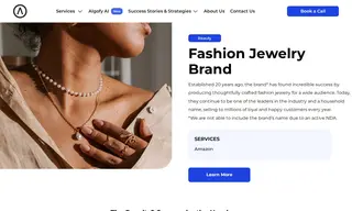 Preview of the Fashion Jewelry Brand Case Study