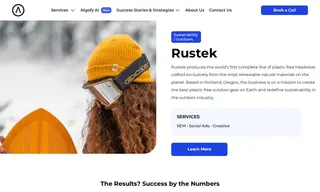 Preview of the Rustek Case Study