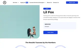 Preview of the Lil Fox Case Study