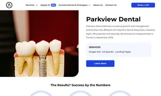 Preview of the Parkview Dental Case Study