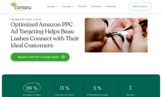 Preview of the Beau Lashes Case Study