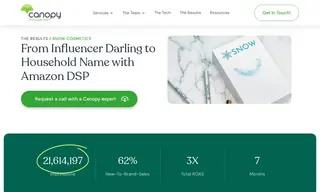 Preview of the Snow Cosmetics Case Study