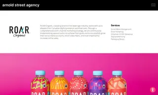 Preview of the ROAR Organic Case Study