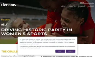 Preview of the Ally Case Study