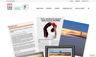 Preview of the Bridge Laboratories Case Study