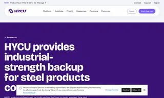 Preview of the Steel and Pipes Case Study