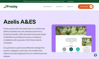 Preview of the Azelis A&ES Case Study
