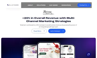 Preview of the Meissner Case Study