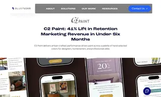 Preview of the C2 Paint Case Study