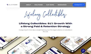 Preview of the Lifelong Collectibles Case Study