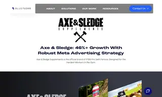 Preview of the Axe & Sledge Case Study