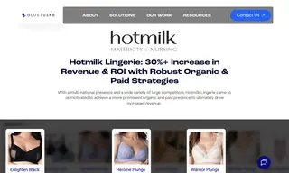 Preview of the Hotmilk Lingerie Case Study
