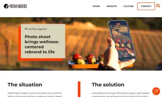 Preview of the Nutrilite Case Study
