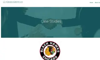 Preview of the Chicago Blackhawks Case Study