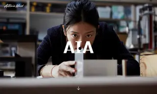Preview of the American Institute of Architects Case Study