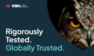 Preview of the Owl Cyberdefense Case Study