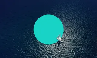 Preview of the Altum Case Study