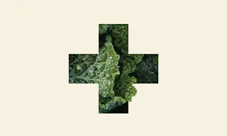 Preview of the Vegetable + Butcher Case Study