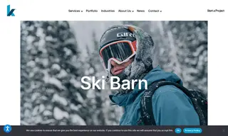 Preview of the Ski Barn Case Study