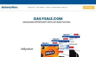 Preview of the DailySale.com Case Study