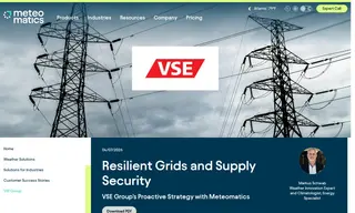 Preview of the VSE Group Case Study