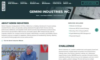 Preview of the Gemini Industries Inc Case Study