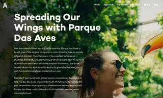 Preview of the Parque das Aves Case Study