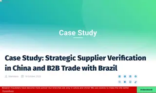 Preview of the Brazilian Manufacturer Case Study